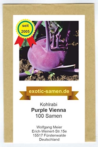 Kohlrabi - schnellwüchsig - für Sommer- und Herbsternte - Purple Vienna - 100 Samen von exotic-samen