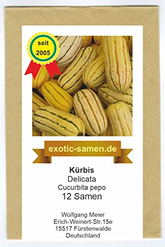 Kürbis – Delicata – sehr süß – oranges Fruchtfleisch – nur bis 1 kg schwer – 12 Samen von exotic-samen