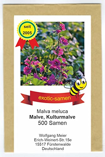 Kulturmalve - Malva meluca - unübertroffene Hummel- und Bienenweide - 500 Samen von exotic-samen