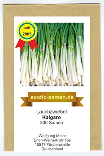 Lauchzwiebel - Winterzwiebel - Kalgaro - winterhart - 300 Samen von exotic-samen