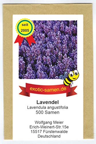 Lavendel - Bienenweide - Lavendula angustifolia - 500 Samen von exotic-samen