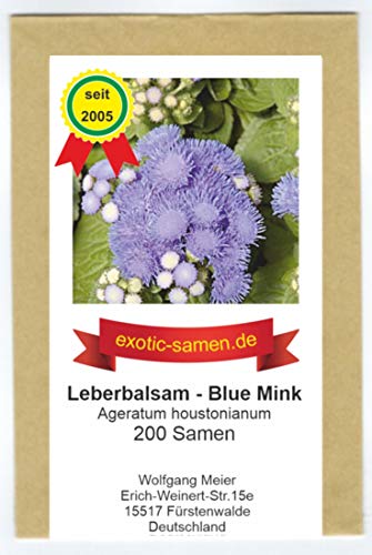 Leberbalsam - Ageratum houstonianum - Blue Mink - 200 Samen von exotic-samen