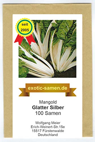 Mangold - Glatter Silber - 100 Samen von exotic-samen