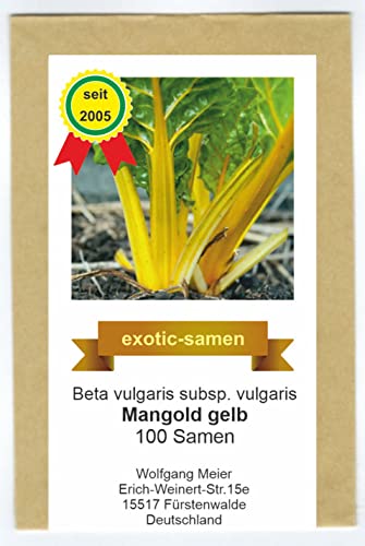 Mangold -gelb - samenfeste Sorte - 100 Samen von exotic-samen