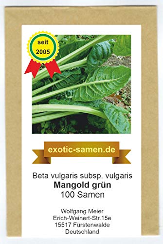 Mangold - grün - samenfeste Sorte - 100 Samen von exotic-samen