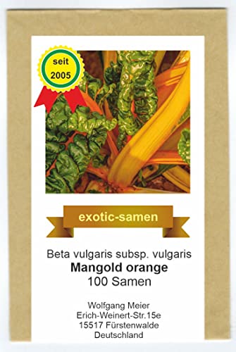 Mangold - orange - samenfeste Sorte -100 Samen von exotic-samen