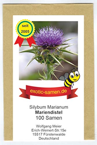 Mariendistel - Silybum marianum - Bienenweide - Zier- und Arzneipflanze - 100 Samen von exotic-samen