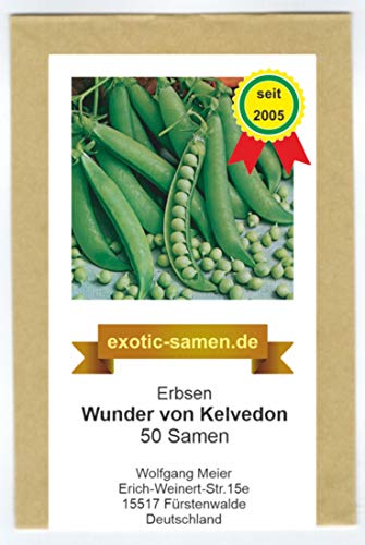 Markerbse - Wunder von Kelvedon - 50 Samen von exotic-samen