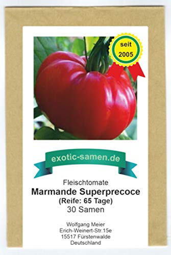 Marmande Superprecoce - sehr frühe, rote Fleischtomate - 30 Samen von exotic-samen