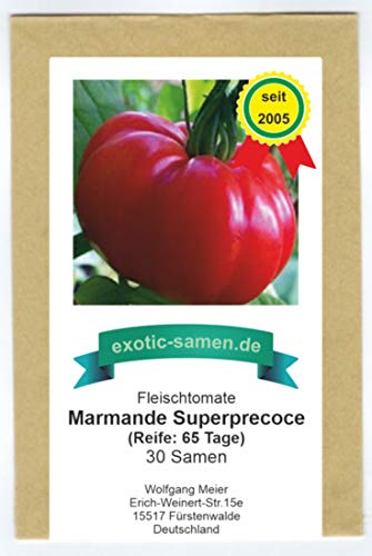 Marmande Superprecoce - sehr frühe, rote Fleischtomate - 30 Samen von exotic-samen