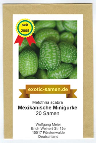 Mexikanische Minigurke - Melothria scabra - sehr ertragreich - 20 Samen von exotic-samen