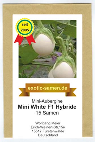 Mine-Aubergine - Mini White F1 Hybrid - 15 Samen von exotic-samen