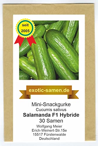 Mini-Snackgurke – Salamanda F1 – 12 cm lang – auch im Kübel – 30 Samen von exotic-samen