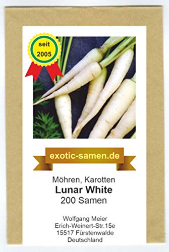 Möhre - Karotte - Lunar White - 200 Samen von exotic-samen