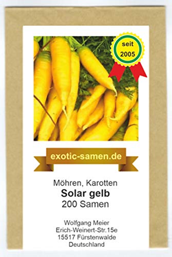 Möhre – Karotte – für die Haupternte - herrlich süßer Geschmack - Solar Yellow - 200 Samen von exotic-samen