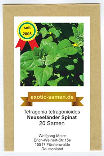 Neuseeländer Spinat - Spinatersatz für den Sommer - 20 Samen von exotic-samen