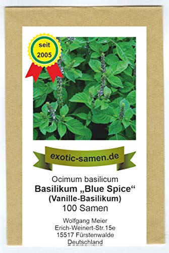 Ocimum basilicum - Vanille-Basilikum - ähnlich Blue Spice - 100 Samen von exotic-samen