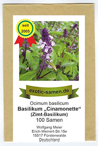 Ocimum basilicum - Basilikum "Cinamonette" - Mexikanisches Zimt-Basilikum - 100+ Samen von exotic-samen