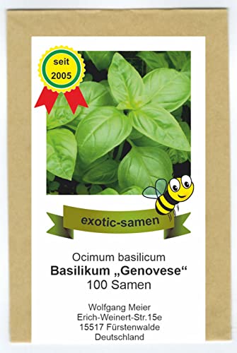 Ocimum basilicum - Basilikum"Genovese" original - 100+ Samen von exotic-samen