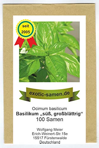 Ocimum basilicum - Basilikum süß, großblättrig - 100+ Samen von exotic-samen