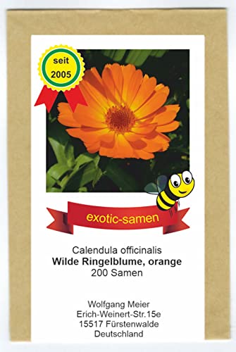 Orange Ringelblume Wildform - ungefüllt - Calendula officinalis - Bienenweide - Heilpflanze - 200 Samen von exotic-samen