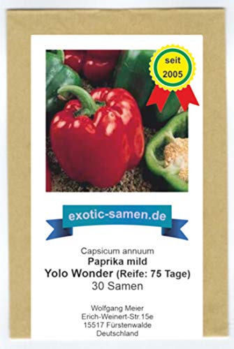 Paprika - Gemüsepaprika - Blockpaprika - süß - rot - Yolo Wonder - 30 Samen von exotic-samen