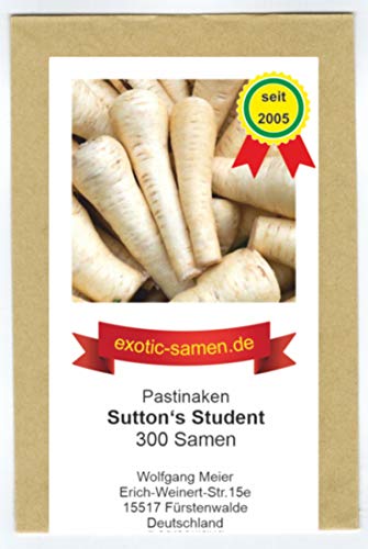 Pastinake - Sutton's Student - frosthart - bis 40 cm lang - samenfeste Sorte - 300 Samen von exotic-samen
