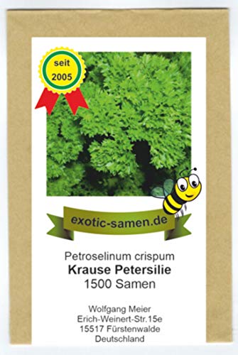 Petersilie kraus - Bienenweide - Gärtnerstolz - Petroselinum - 1500 Samen von exotic-samen