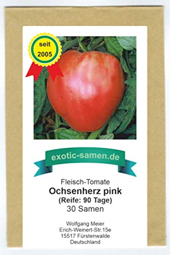 Pink-rote, süße, sehr gehaltvolle Riesen-Fleischtomate - bis 1,5 kg schwer - Ochsenherz - 30 Samen von exotic-samen