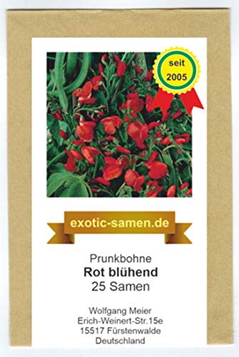 Prunkbohne Rot blühend - Feuerbohne - 25 Samen von exotic-samen