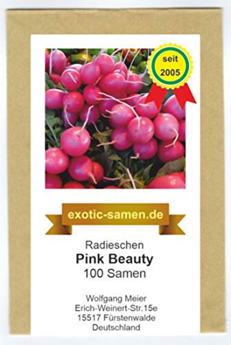 Radies, Radieschen - Pink Beauty - 100 Samen von exotic-samen