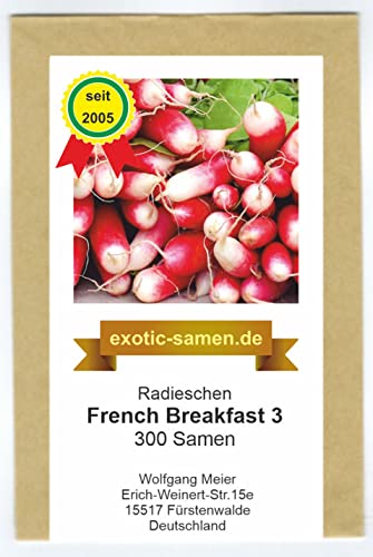 Radies – Radieschen – French Breakfast 3 – schmackhaft – schnellwüchsig – 300 Samen von exotic-samen