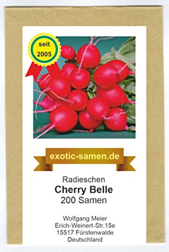 Radieschen - Cherry Belle - schnellwüchsig - früh reifend - köstlich - samenfeste Sorte - 200 Samen von exotic-samen