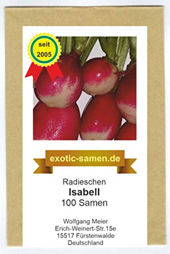 Radieschen - Radies - Isabell (100 Samen) von exotic-samen
