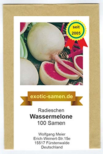 Radieschen - Radies - Winterradieschen - Wassermelone (100 Samen) von exotic-samen