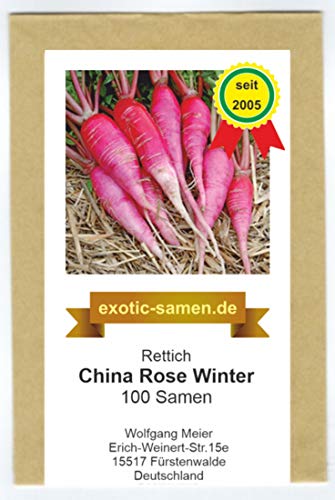 Rettich - Sommer- und Winterrettich - China Rose Winter (100 Samen) von exotic-samen