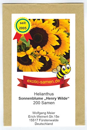 Riesensonnenblume - Bienenweide - Sonnenblume- Henry Wilde - bis 2,50 Meter - mehrstielig - Großpackung - 200 Samen von exotic-samen