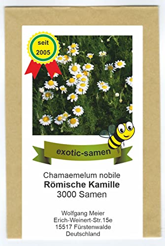 Römische Kamille - Bienenweide - Chamaemelum nobile - 3000 Samen von exotic-samen