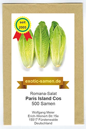 Romana-Salat - Paris Island Cos (500 Samen) von exotic-samen