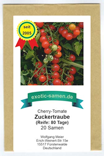 Rote, süße Cherry-Tomate - auch für den Kübel - Zuckertraube - 20 Samen von exotic-samen