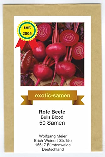 Rote Beete - Bull's Blood - samenfeste Sorte - 50 Samen von exotic-samen