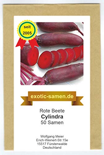 Rote Beete - Bete – Rübe - Beta vulgaris subsp. vulgaris – Cylindra - 50 Samen von exotic-samen