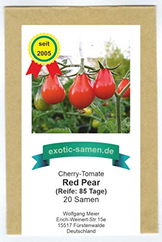 Rote Mini-Tomate in Birnenform - red Pear-Tomate - rotes Birnchen - 20 Samen von exotic-samen