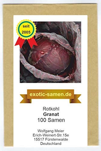 Rotkohl - Granat - 100 Samen von exotic-samen