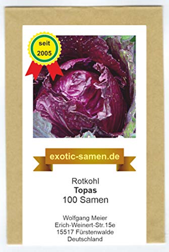 Rotkohl - Topas (100 Samen) von exotic-samen