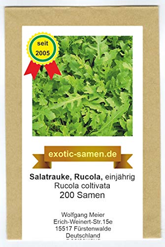 Rucola - Salatrauke - einjährig - Rucola coltivata - 200 Samen von exotic-samen