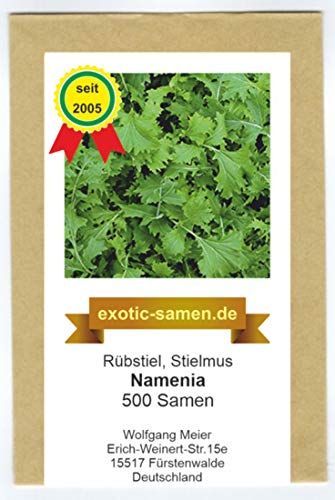 Rübstiel - Stielmus - Namenia - Brassica rapa ssp. Silvestris - 500 Samen von exotic-samen