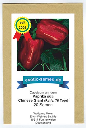 Saftige, süße Paprika - Chinese Giant - 20 Samen von exotic-samen