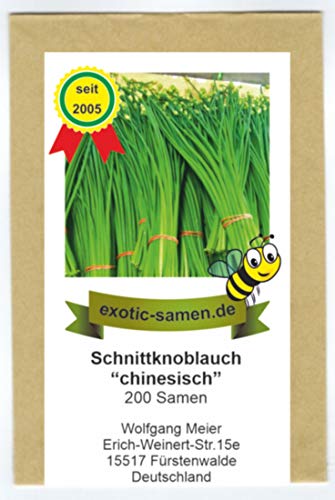 Schnittknoblauch, chinesisch - Bienenweide - Allium tuberosum (200 Samen) von exotic-samen