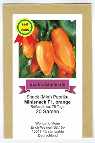 Snack Paprika - Mini-Paprika Minisnack F1 Hybrid orange - 20 Samen von exotic-samen